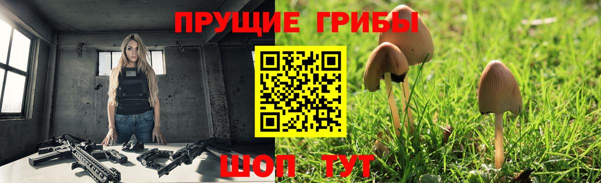 Соль-Илецк  купить   Вход с VPN  Псилоцибиновые грибы прущие грибы 
